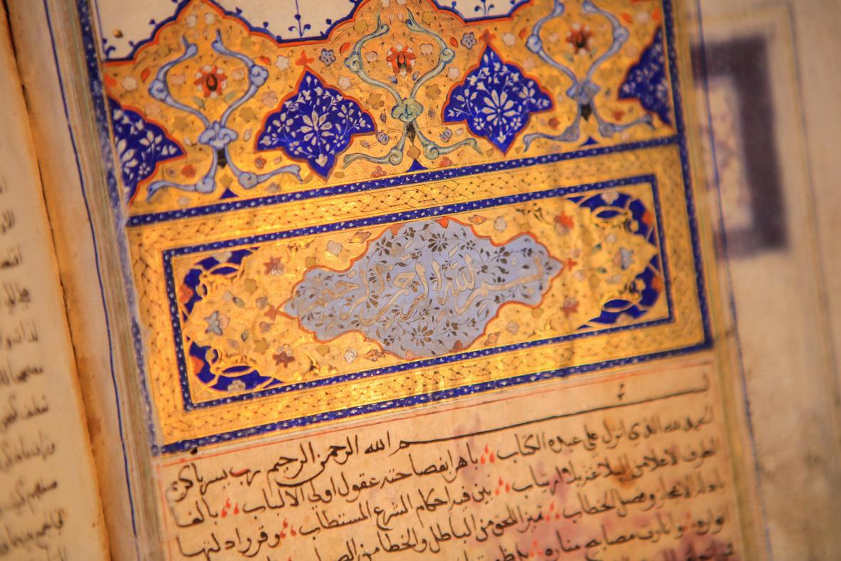 WhatsApp Image 2026-03-01 at 4.09.58 PM